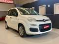 Fiat Panda Panda 1.0 firefly hybrid *PREZZO PROMO* Weiß - thumbnail 5
