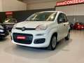 Fiat Panda Panda 1.0 firefly hybrid *PREZZO PROMO* Weiß - thumbnail 1