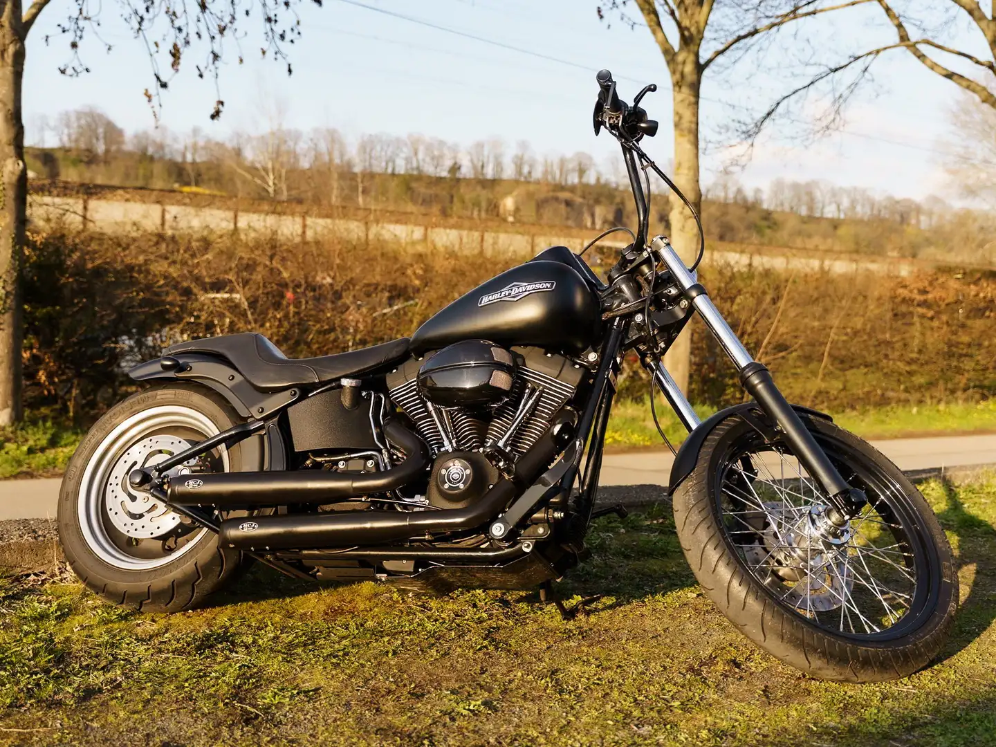 Harley-Davidson Softail Night Train 1HD FXSTB Negru - 2