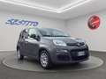 Fiat Panda 1.0 hybrid s&s 70cv 5p.ti Grigio - thumbnail 3