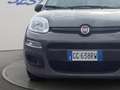 Fiat Panda 1.0 hybrid s&s 70cv 5p.ti Gris - thumbnail 19