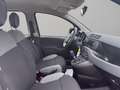 Fiat Panda 1.0 hybrid s&s 70cv 5p.ti Grigio - thumbnail 12