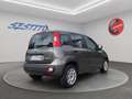 Fiat Panda 1.0 hybrid s&s 70cv 5p.ti Grigio - thumbnail 5