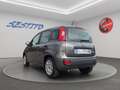 Fiat Panda 1.0 hybrid s&s 70cv 5p.ti Grigio - thumbnail 7
