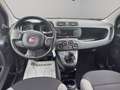 Fiat Panda 1.0 hybrid s&s 70cv 5p.ti Grigio - thumbnail 11