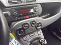 Fiat Panda 1.0 hybrid s&s 70cv 5p.ti Grigio - thumbnail 9
