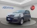 Fiat Panda 1.0 hybrid s&s 70cv 5p.ti Grigio - thumbnail 1