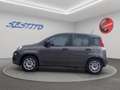 Fiat Panda 1.0 hybrid s&s 70cv 5p.ti Grigio - thumbnail 8