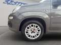 Fiat Panda 1.0 hybrid s&s 70cv 5p.ti Grigio - thumbnail 6