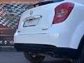 SsangYong Korando D20T Line 4x2 Blanco - thumbnail 9