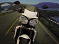 Triumph Street Triple 675 R - 2011 - km 33667 Bianco - thumbnail 9