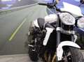 Triumph Street Triple 675 R - 2011 - km 33667 Bianco - thumbnail 10