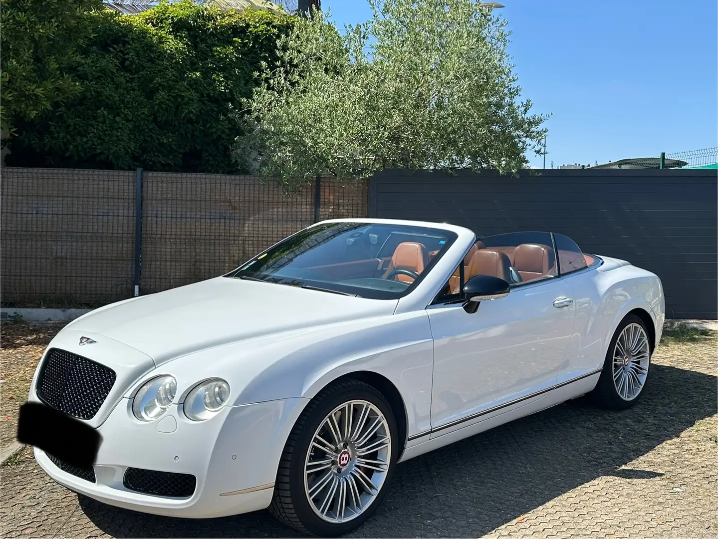 Bentley Continental GTC - 1
