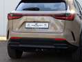 Lexus NX 450h+ AWD Overtrail | Panoramadak | 360 Camera | Trekhaa Brun - thumbnail 35