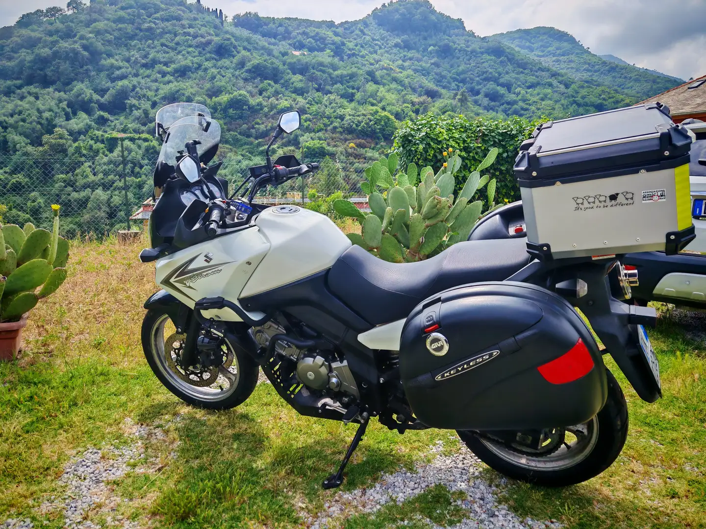Suzuki V-Strom 650 Traveller Bianco - 1