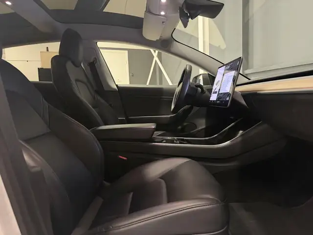 Tesla Model 3 view 25