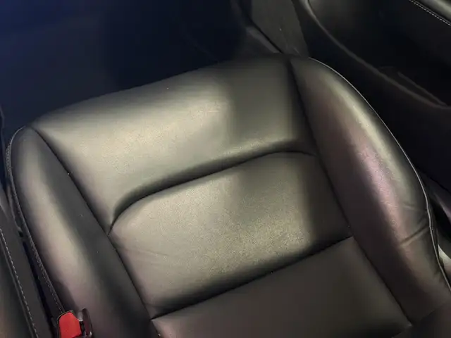 Tesla Model 3 view 29