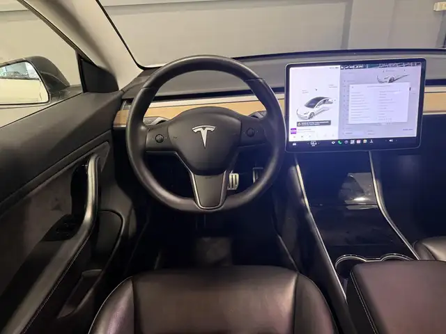 Tesla Model 3 view 23