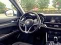 Alfa Romeo Stelvio Stelvio 2.2 t Executive Q4 190cv auto my19 Blanc - thumbnail 14