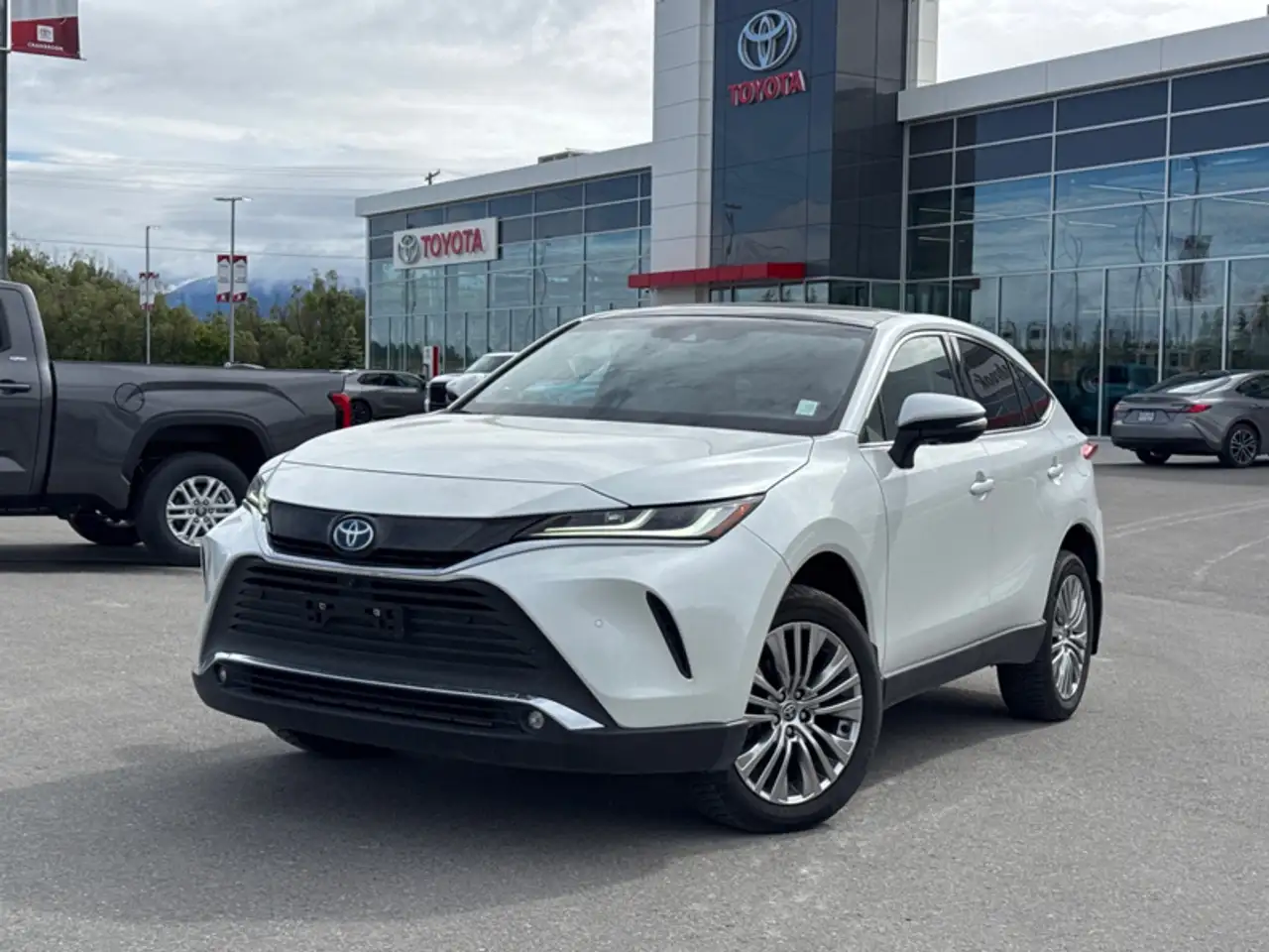 2023 Toyota Venza