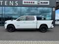 Dodge RAM 1500 Gen.5 CrewCab BackCountry Pano U-frei Белый - thumbnail 2