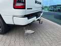 Dodge RAM 1500 Gen.5 CrewCab BackCountry Pano U-frei Белый - thumbnail 23