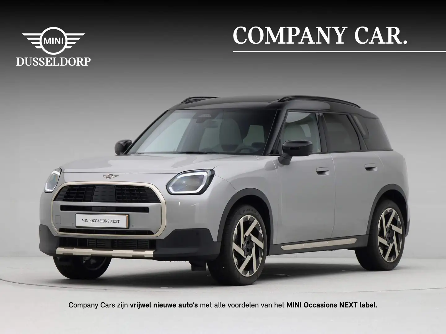MINI Countryman C Favoured Pakket L Gris - 1