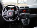 Fiat Panda 1.2 69PK Lounge I Airconditioning I 5-Zitplaatsen Grijs - thumbnail 12