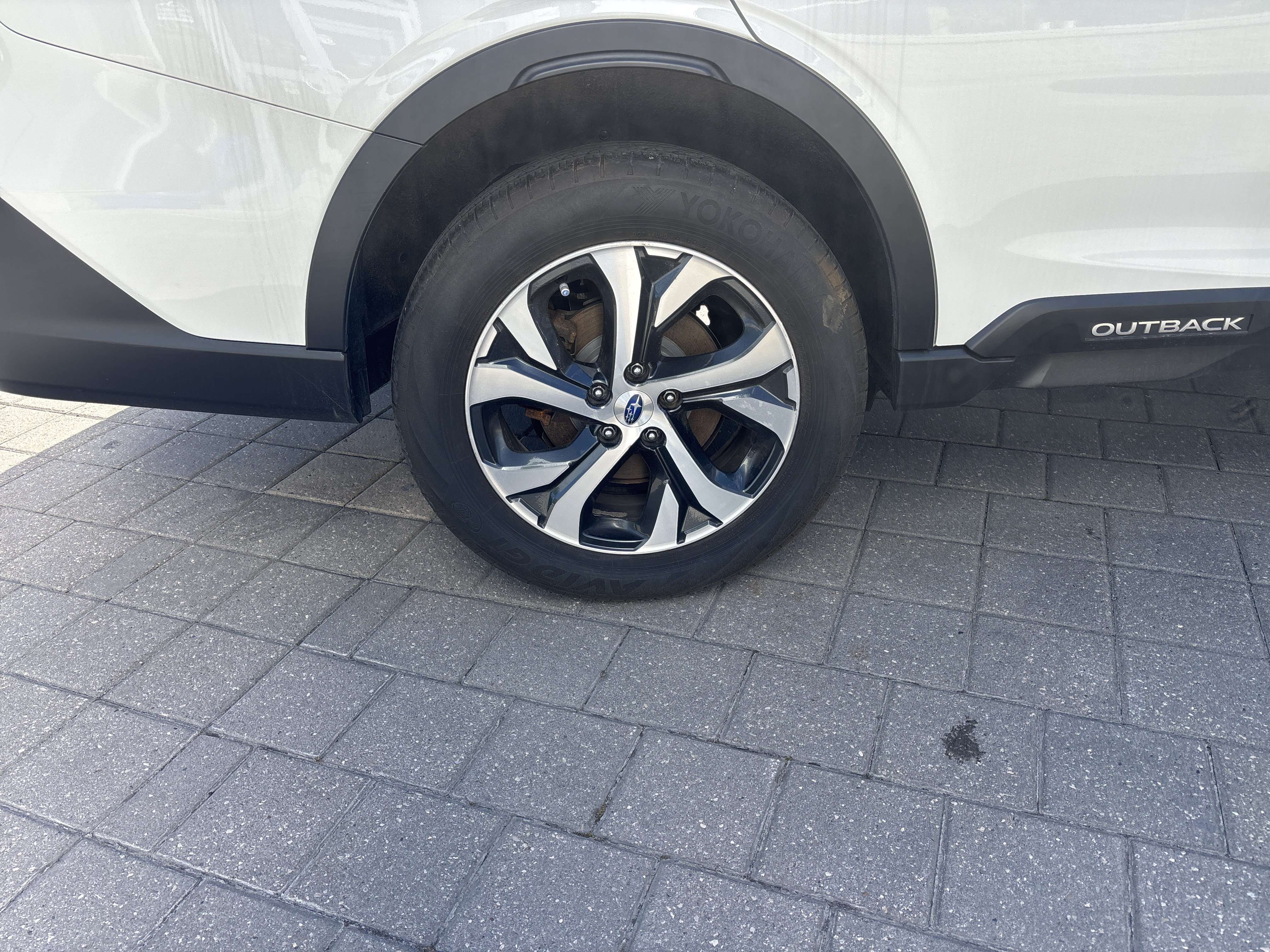Image 8
