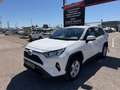 Toyota RAV 4 2.5 hybrid 4WD Business Blanco - thumbnail 6
