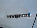 Toyota RAV 4 2.5 hybrid 4WD Business Blanco - thumbnail 28