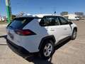 Toyota RAV 4 2.5 hybrid 4WD Business Blanco - thumbnail 5