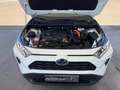 Toyota RAV 4 2.5 hybrid 4WD Business Blanco - thumbnail 29