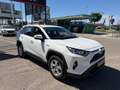 Toyota RAV 4 2.5 hybrid 4WD Business Blanco - thumbnail 3