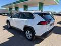 Toyota RAV 4 2.5 hybrid 4WD Business Blanco - thumbnail 8