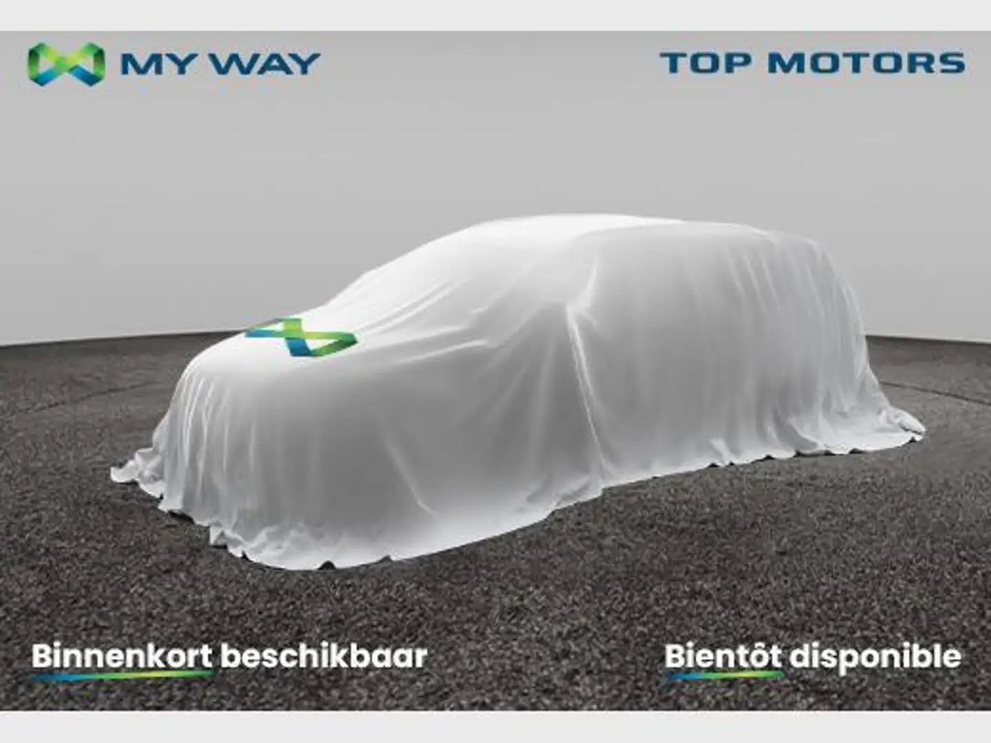 Volkswagen e-Golf GARANTIE*85KWH*115PK*GPS*CAMERA*TOPWAY.BE Argent - 1