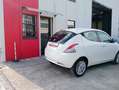 Lancia Ypsilon Ypsilon III 2015 1.2 Platinum 69cv Blanc - thumbnail 16