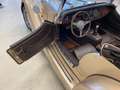 Morgan Roadster Roadster 3.7i/Ford V6 Boite manuelle endommagé Bronze - thumbnail 27