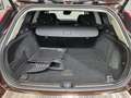 Volvo V60 Kombi Inscription LED ACC App Leder Kamera Braun - thumbnail 20