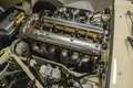 Jaguar E-Type E - Type Serie 1 Beige - thumbnail 21