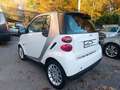 smart forTwo Fortwo 1.0 Mhd Passion 71cv CON GARANZIA 12 MESI Blanc - thumbnail 7