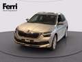 Skoda Kamiq 1.0 tsi Style 110cv Grau - thumbnail 1