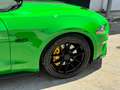 Ford Mustang Mustang Fastback 5.0 ti-vct V8 GT 450cv auto Verde - thumbnail 6