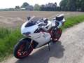 Ducati 848 Evo Wit - thumbnail 4