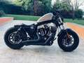 Harley-Davidson Sportster 1200 forty eight Gris - thumbnail 1