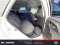 Toyota Auris TS Comfort 1.33 Dual-VVT-i Klimaautomatik Rückfahr Weiß - thumbnail 11