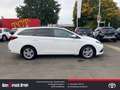 Toyota Auris TS Comfort 1.33 Dual-VVT-i Klimaautomatik Rückfahr Weiß - thumbnail 4