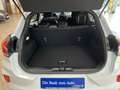 Ford Puma ST-Line Design 1.0 EcoBoost Hybrid ALU, WiPa, Cam Blanc - thumbnail 14