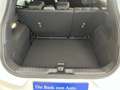 Ford Puma ST-Line Design 1.0 EcoBoost Hybrid ALU, WiPa, Cam Blanc - thumbnail 15