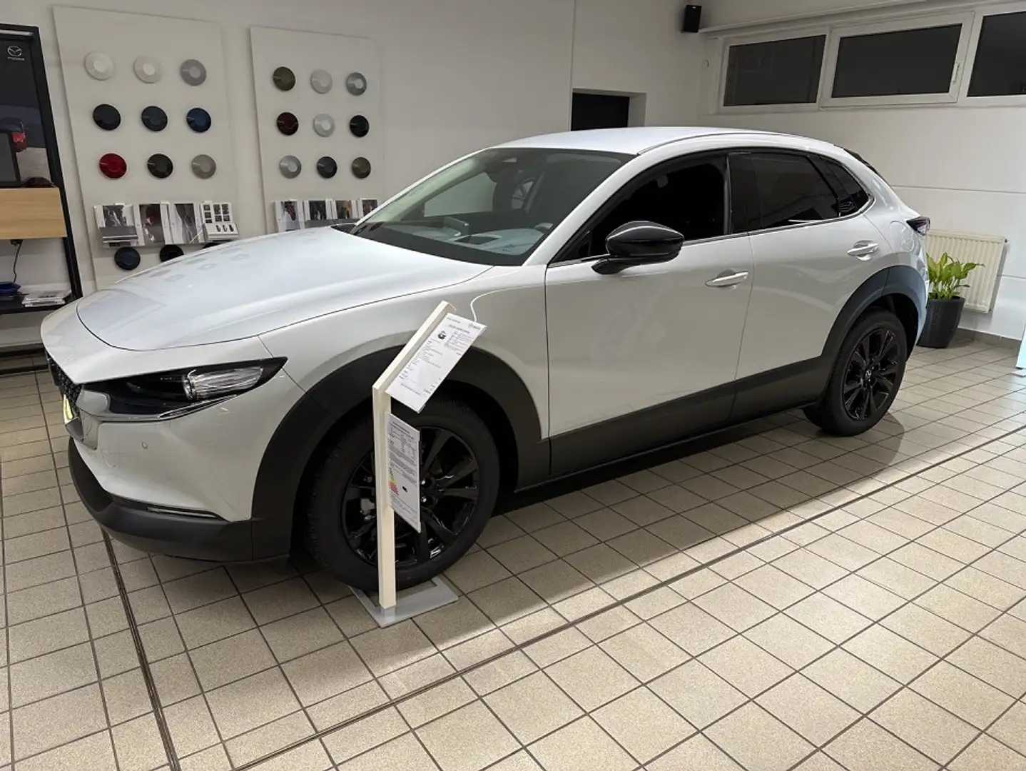 Mazda CX-30 2.0L e-SKYACTIV G HOMURA Bianco - 2